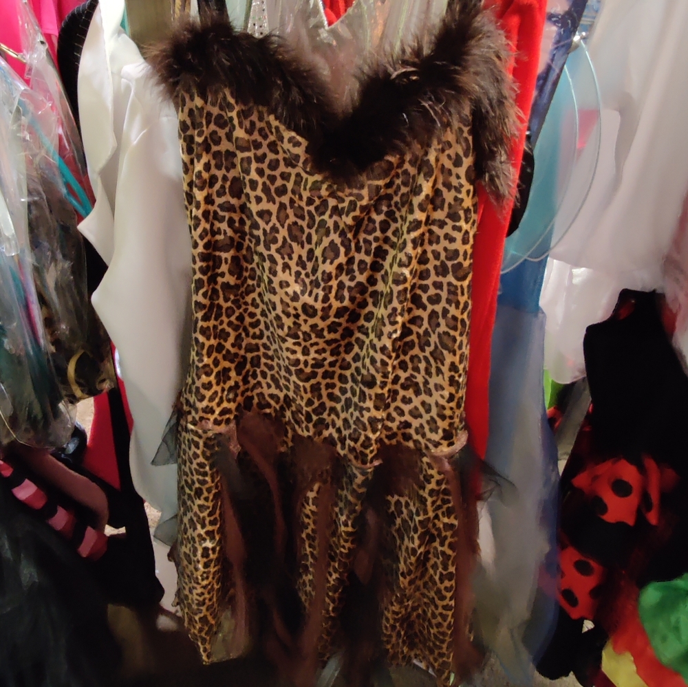 Very cute leopard print dress costume